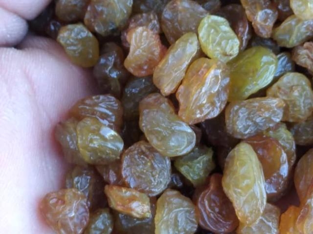 039f4f03-b371-46f3-b51b-dedf9eb5273d